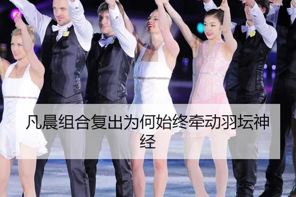 凡晨组合复出为何始终牵动羽坛神经